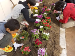 子供たちと育てる花とみどりによるコミュニティづくり事業