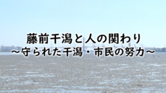 藤前干潟と人の関わり～守られた干潟・市民の努力～